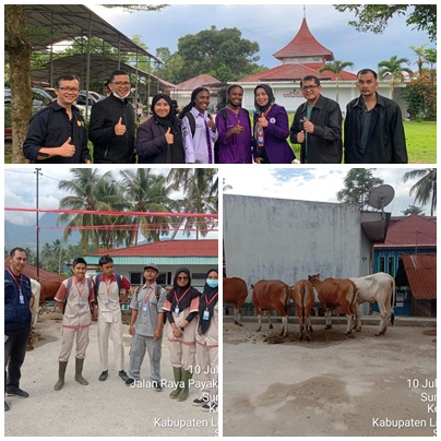 126 Petugas Disnakkeswan Lima Puluh Kota Turun Mengawasi Dan Memeriksa Hewan Qurban Tahun 1443 H/ 2022 M