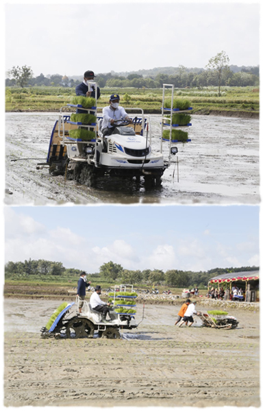 Riset Pengembangan Inovatif Kolaboratif Lahan Sawah Tadah Hujan ( Rpik Lsth )