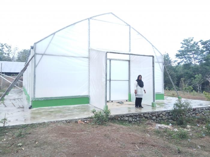 Hadirnya Inovasi Rumah Pengering Ultraviolet (uv Dryer) Di Desa Tibona Kecamatan Bulukumpa Solusi Terbaik Di Musim Penghujan