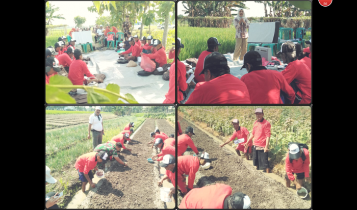 Budidaya Bawang Merah Dikelompok Tani Sumber Rejeki Desa Keras Wetan Kec. Geneng Kab. Ngawi