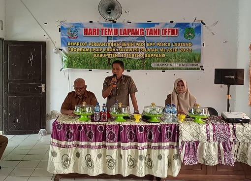 Farmer Field Day (FFD) Demplot Perbanyakan Benih Padi Program IPDMIP Provinsi Sulsel di BPP Panca Lautang Kab. Sidrap