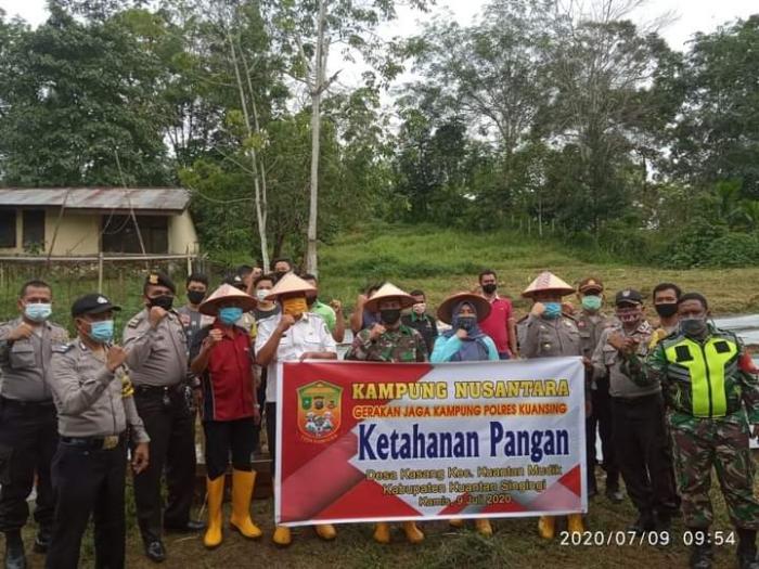 TANAM DAN PANEN CABE RAWIT BERSAMA CAMAT KUANTAN MUDIK