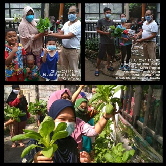 PANEN SAYURAN P2L MAWAR INDAH. KARET TENGSIN, JAKARTA PUSAT   KHUSUS  UNTUK WARGA STUNTING DAN ISOMAN