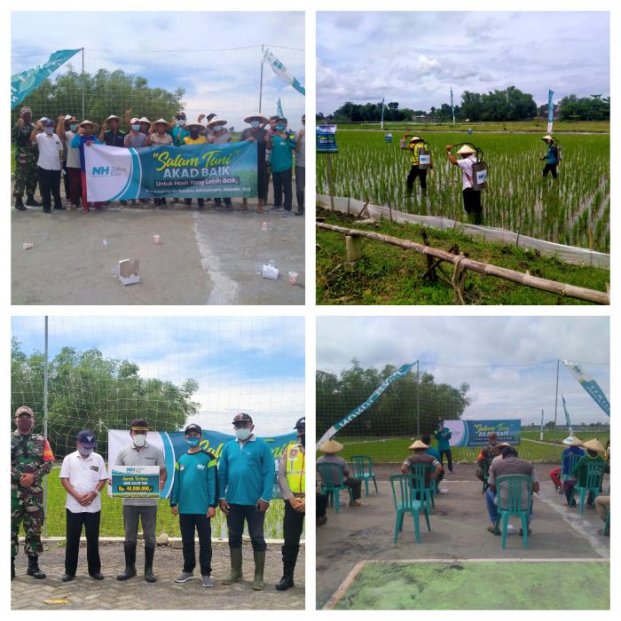 Kerja Sama Kemitraan Gapoktan Bumiarto Dengan  Yayasan Nurul Hayat Kabupaten Bojonegoro Ditandai  Penyerahan Secara  Simbolis Akad Salam .