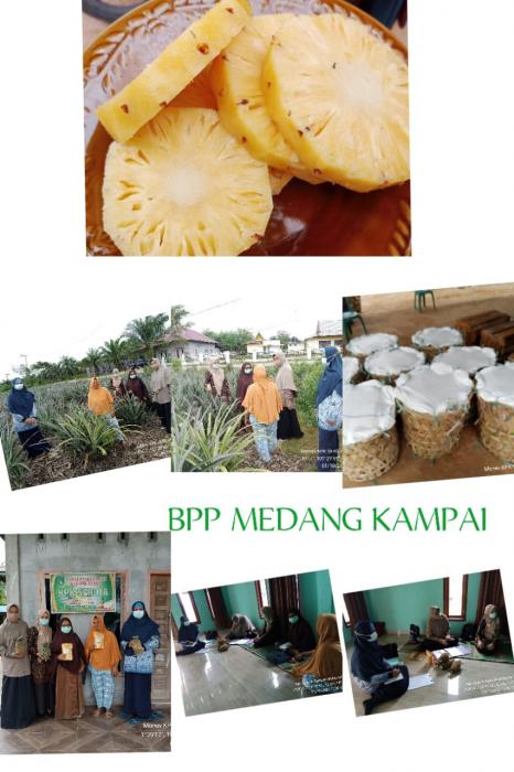 Monitoring dan Evaluasi Hasil Bimtek di Kpk Seroja Kelurahan Mundam oleh Bptp Riau