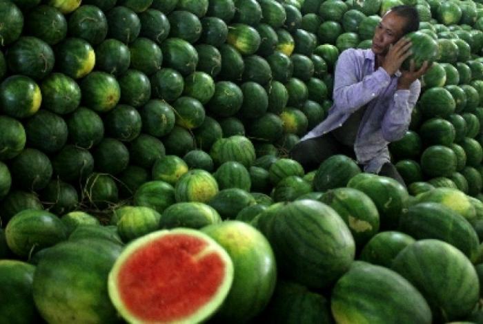 KIAT SUKSES MEMAHAMI JENIS TANAH UNTUK TANAM BAWANG MERAH AGAR MENGHASILKAN PRODUKSI YANG OPTIMAL