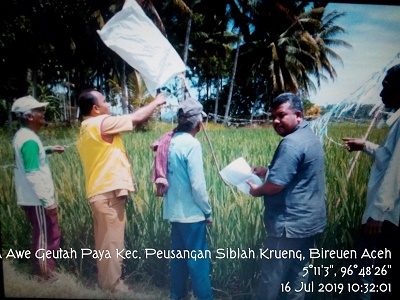 Pengendalian Burung Pipit Secara Mekanis
