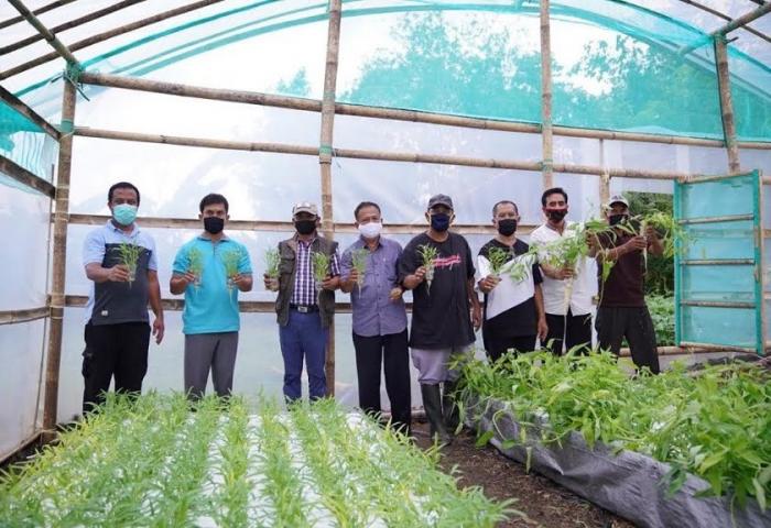 Petani Muda Asal Bone Jaga Ketahanan Pangan Dengan Pertanian Modern