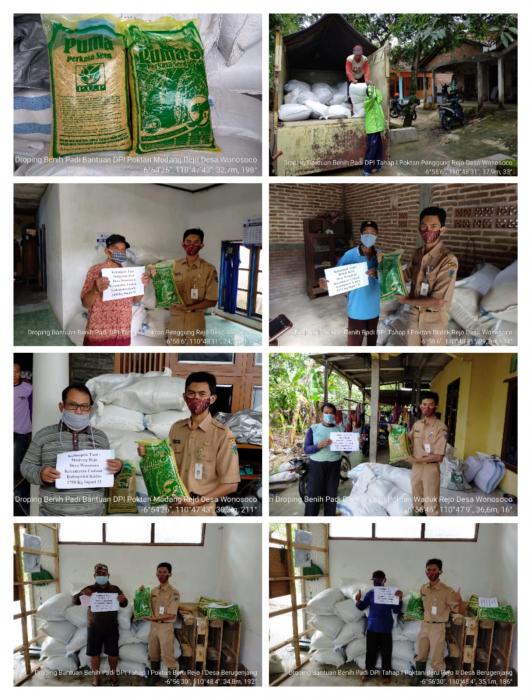 PENGAWALAN PENYULUH PENGIRIMAN BANTUAN BENIH PADI TAHAP PERTAMA AKIBAT PERUBAHAN IKLIM