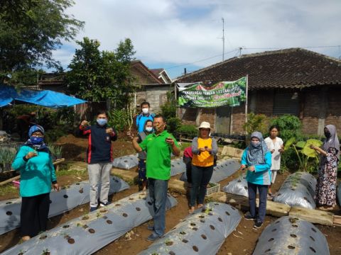 Tandai Era Integrated Urban Farming, Kadisperpa Tanam Perdana Sayuran Di 2 Kwt
