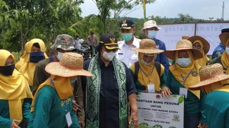 Kunjungan Kerja Menteri Lingkungan Hidup dan Kehutanan Ke Kelompok Tani di Kecamatan Dumai Selatan Kota Dumai