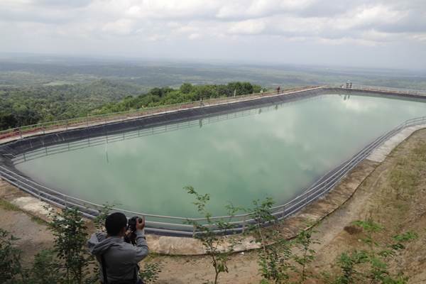 KANDANG UNTUK PEMBIBITAN SAPI PERAH
