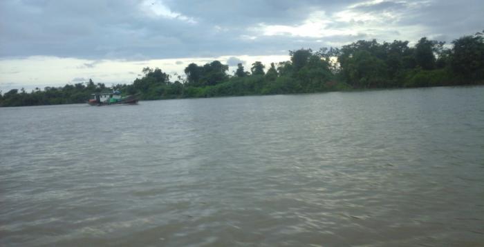 PEMANFAATAN TANAH ENDAPAN BANJIR ALUVIAL UNTUK LAHAN PERTANIAN
