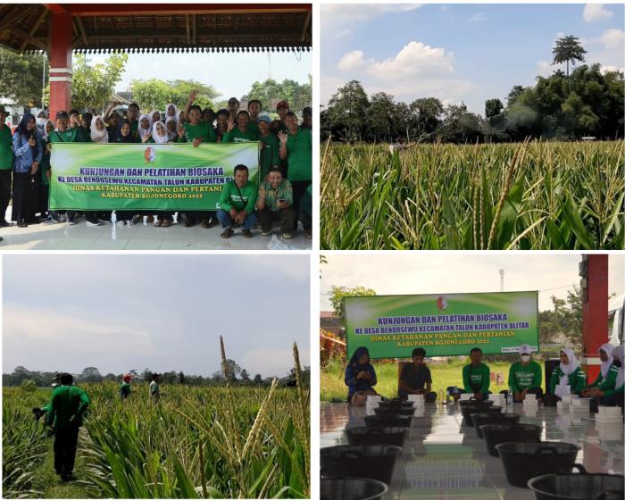 Kunjungan dan Pelatihan Biosaka oleh Petani, Penyuluh dan POPT Kab. Bojonegoro ke Desa Bendosewu, Kec. Talun, Kab. Blitar 