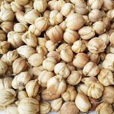 POTENSI EKONOMI TERNAK DOMBA