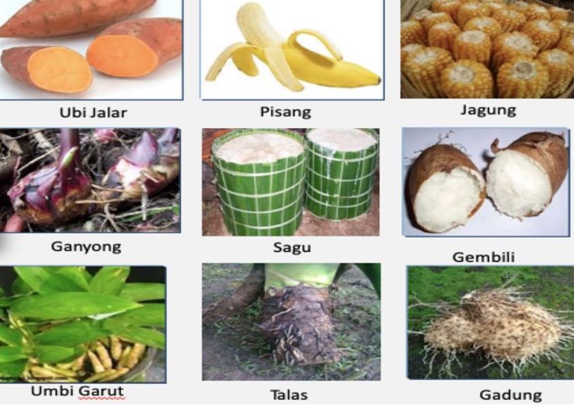 Pacu Produksi Kedelai dengan Pupuk Organik