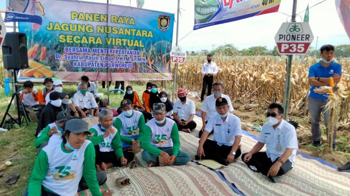 PANEN RAYA JAGUNG NUSANTARA DI KABUPATEN PURWOREJO