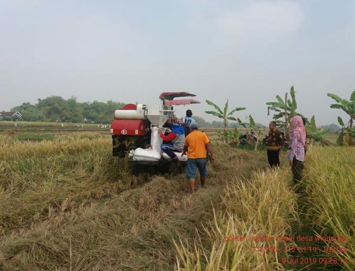 Teknologi Panen Padi dengan Combine Harvester