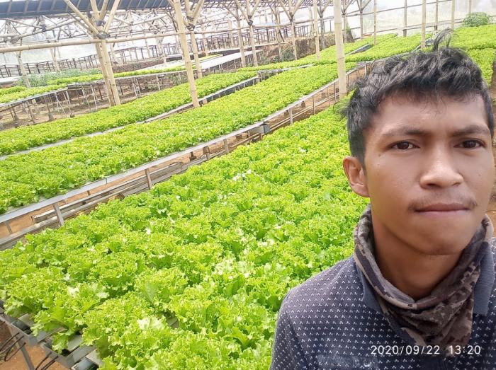 Petani Milenial Raup Untung  Dari Bertani Hidroponik