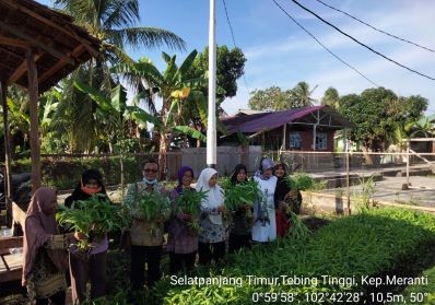 Kegiatan Panen Perdana Kwt Merica Kelurahan Selatpanjang Timur