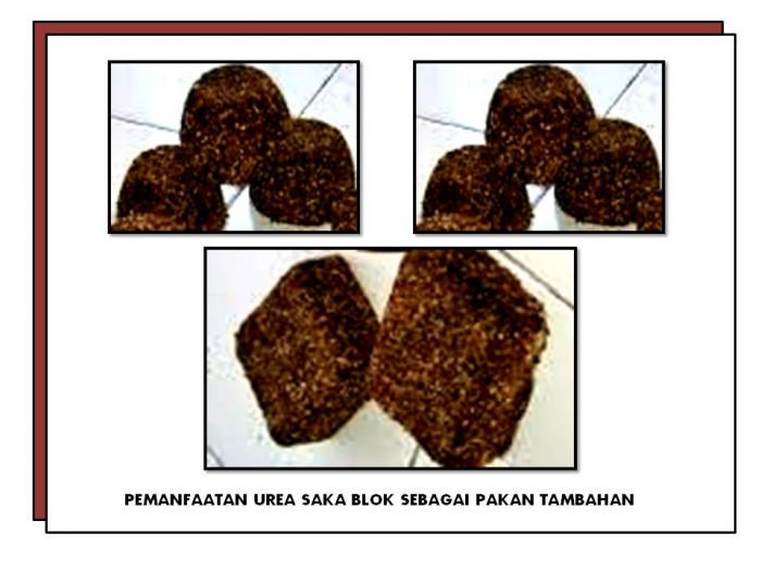PEMANFAATAN UREA SAKA BLOK SEBAGAI PAKAN TAMBAHAN