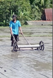 DENGAN SISTEM  â€œTABELAâ€  BUDIDAYA  PADI  LEBIH  EKONOMIS
