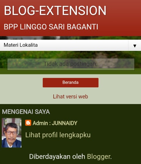 BLOG-EXTENSION