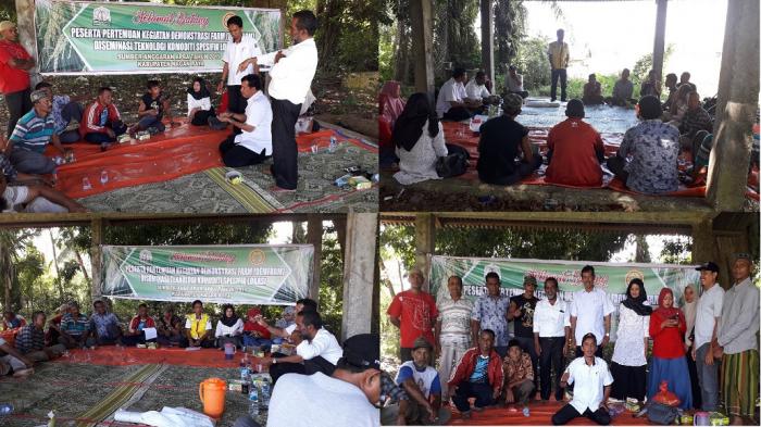 Kegiatan Demfarm Deseminasi Teknologi Jarwo Super Spesifik Lokasi Padi Sawah