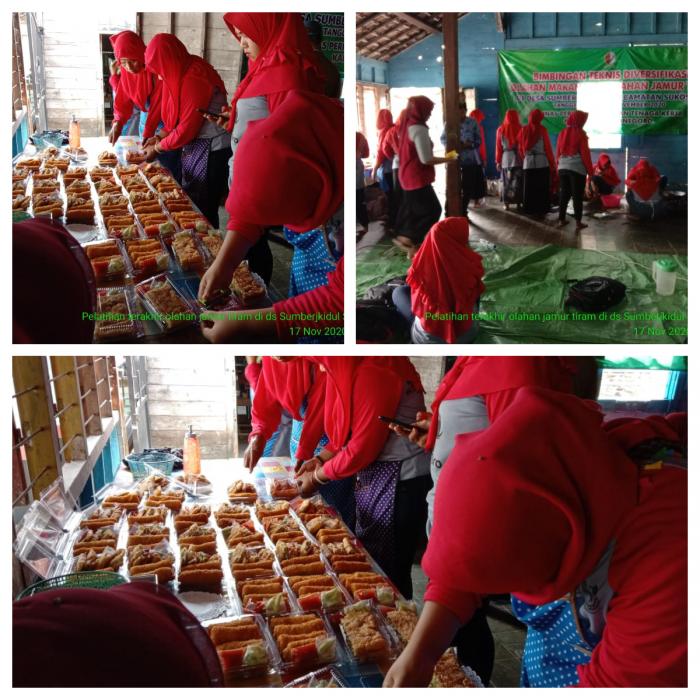 Bimtek Diversifikasi Olahan Makanan Berbahan Jamur Tiram  Di Desa Sumberjokidu Kecamatan Sukosewu