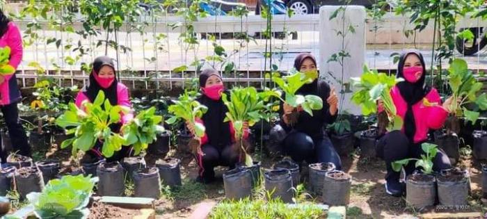 Panen Perdana Sayur Organik Bhayangkari Cabang Palopo