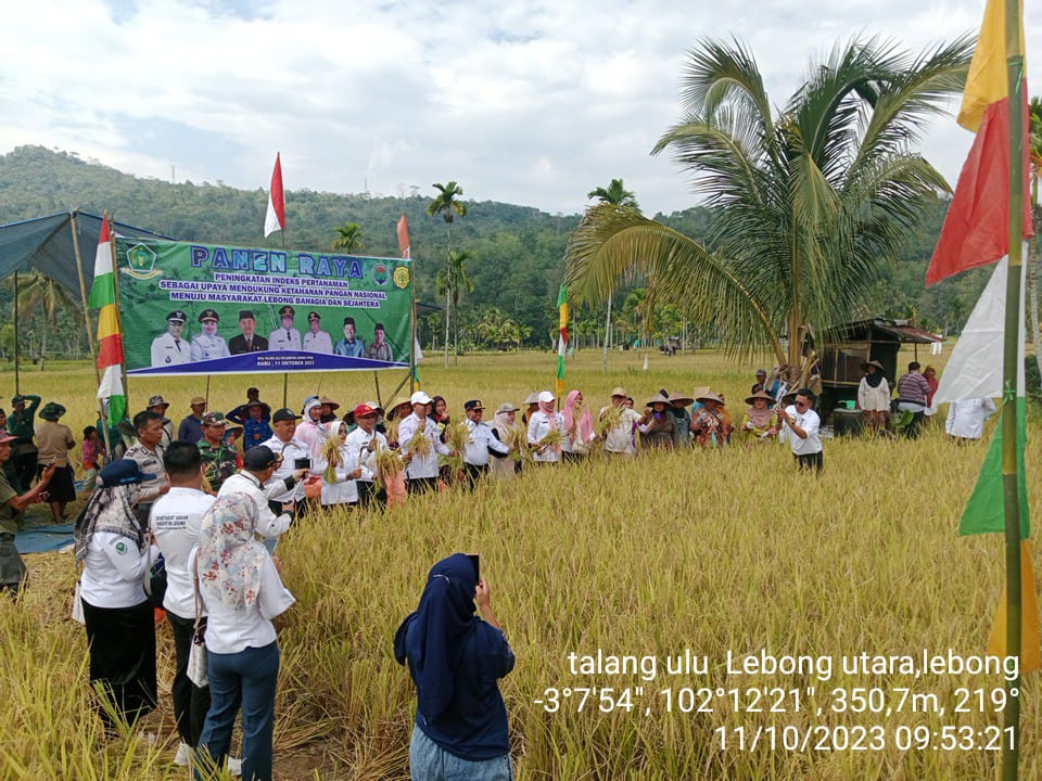 PANEN PERDANA PADI SAWAH IP 200 DI DESA TALANG ULU KECAMATAN LEBONG UTARA KABUPATEN LEBONG
