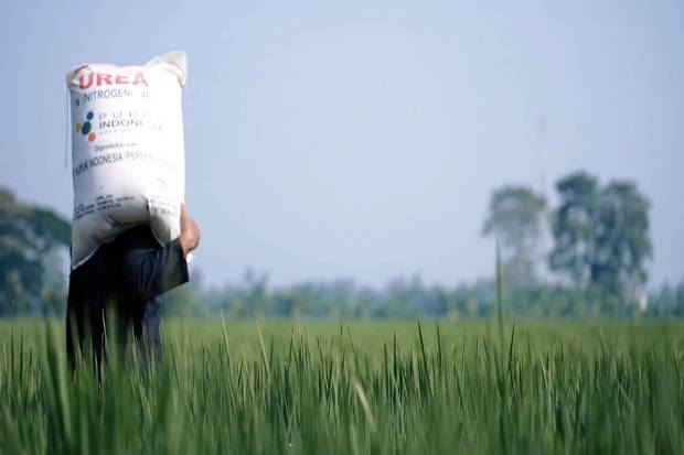 Peningkatan Pemahaman Tentang Manfaat Penguna Pupuk Subsidi
