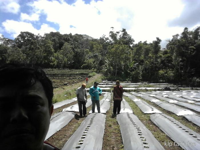Kelebihan dan Keuntungan menggunakan Plastik