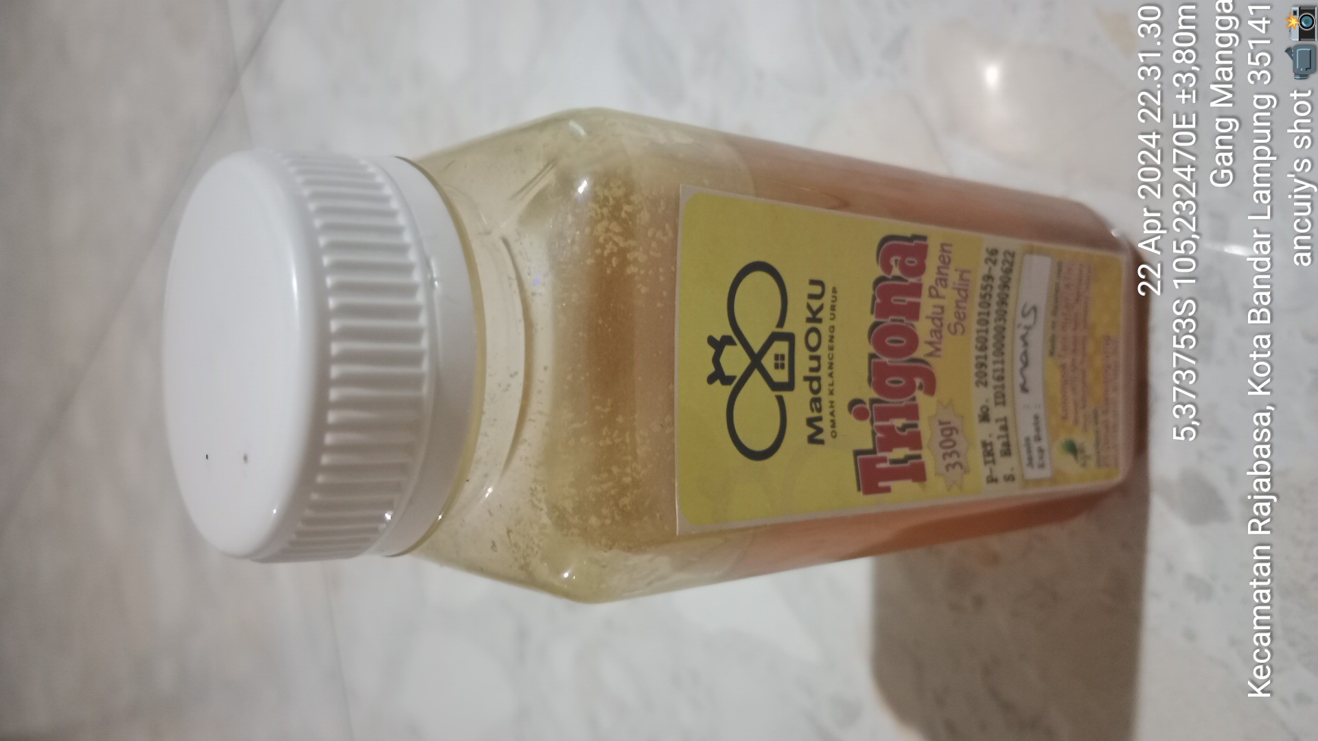 MANFAAT MADU TRIGONA