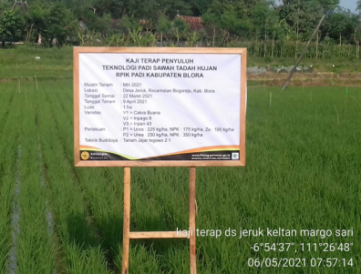 KAJI TERAP TEKNOLOGI PADI SAWAH TADAH HUJAN