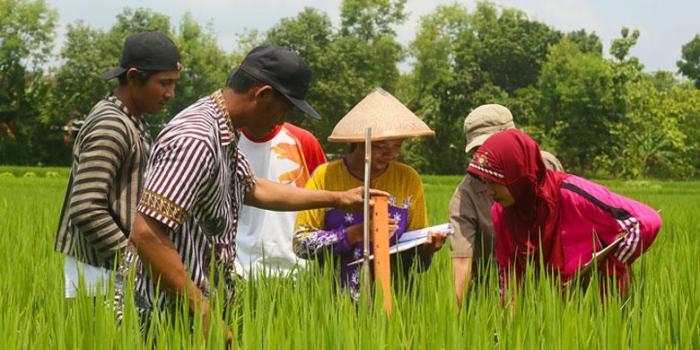 PEMBERDAYAAN MASYARAKAT BIDANG PERTANIAN DALAM KONTEKS PENYULUHAN PERTANIAN