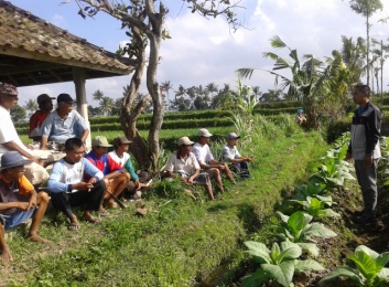 MELALUI PENYULUHAN, KEMANDIRIAN  DAN KESEJAHTERAAN PETANI DIWUJUDKAN 
