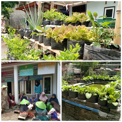 KAWASAN RUMAH PANGAN LESTARI (KRPL)