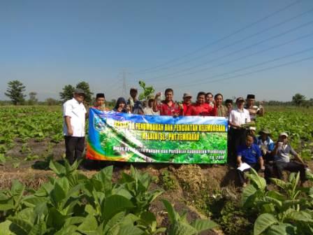 SL Ã¢â‚¬â€œ PHT TEMBAKAU MENDUKUNG PENINGKATAN PRODUKSI DAUN MAS