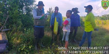 pengubinan padi unggul lokal varietas Gogo lungkung di kelompok tani rurey maju desa murutuwu kecamatan Paju epat kabupaten Barito timur KALTENG 