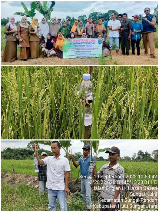 Kegiatan Demonstrasi Cara "Diseminasi Teknologi Perangkap Hama" di Kelompok Tani Subur Jaya, Desa Sungai Kuini Kecamatan Sungai Pandan Kabupaten Hulu Sungai Utara dengan Menggunakan Dana Desa 2022.