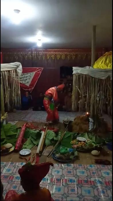 Tradisi Adat Mapalili Turun Sawah Kecamatan Segeri