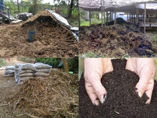 CARA PEMBUATAN 1 TON BOKASHI PUPUK KANDANG