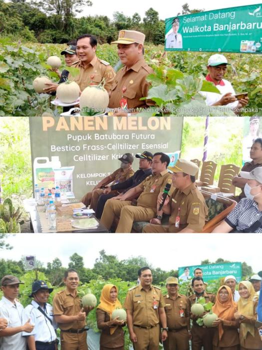 FIELD DAY PANEN MELON