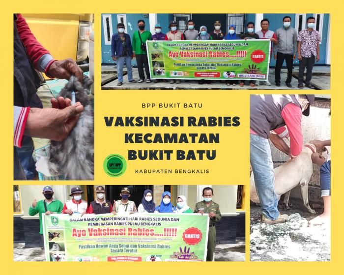 VAKSINASI RABIES DI KECAMATAN BUKIT BATU KABUPATEN BENGKALIS