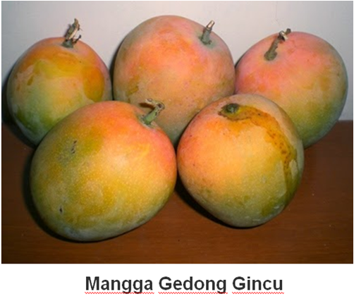 MANFAAT KUNYIT
