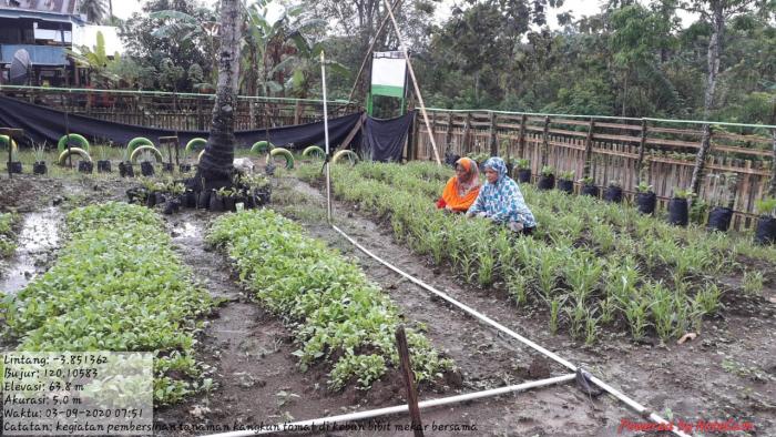 Pemanfaatan Lahan Pekarangan Lestari (P2L)