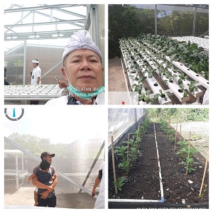 IO HYDROPONIK FARM PECATU