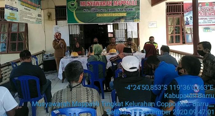 Musyawarah Mappalili Ditingkat Kelurahan Coppo Kecamatan Barru Kabupaten Barru
