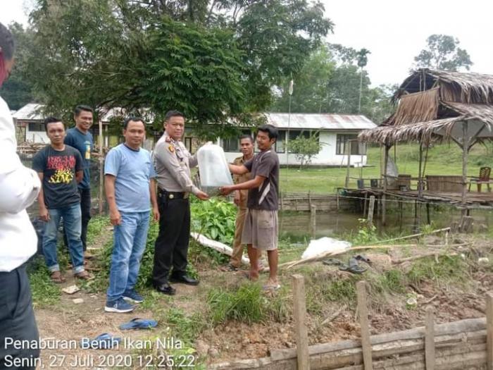 PENYERAHAN SAPRODI PERTANIAN DARI POLSEK KUANTAN MUDIK KEPADA KELOMPOK TANI GEMURAI 